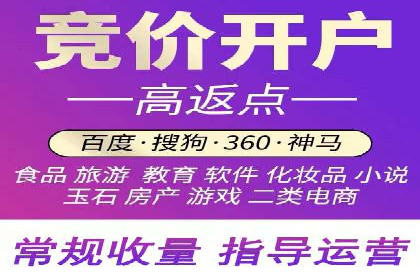 SEM代理助力品牌：案例解析与优化策略